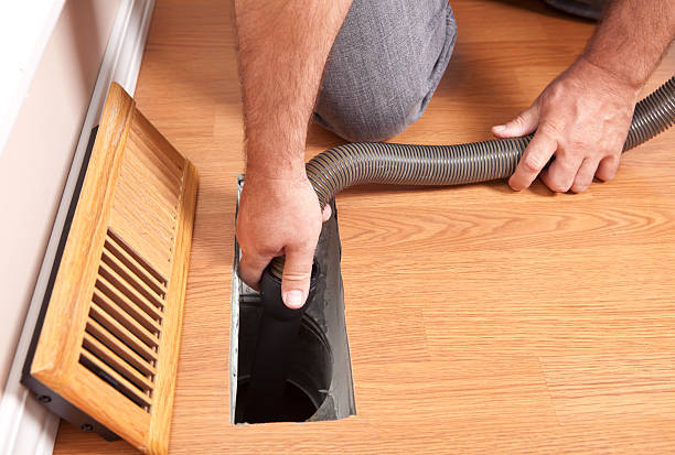 Best Best Air Duct Cleaning Company  in Citrus Park, FL