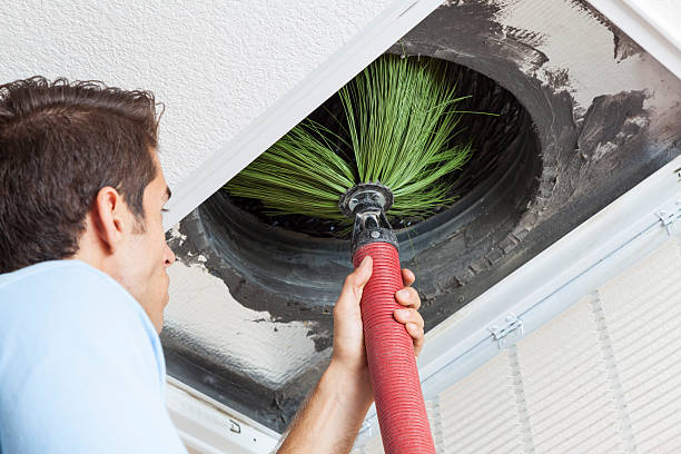 Best Air Duct Cleaning Near Me  in Citrus Park, FL